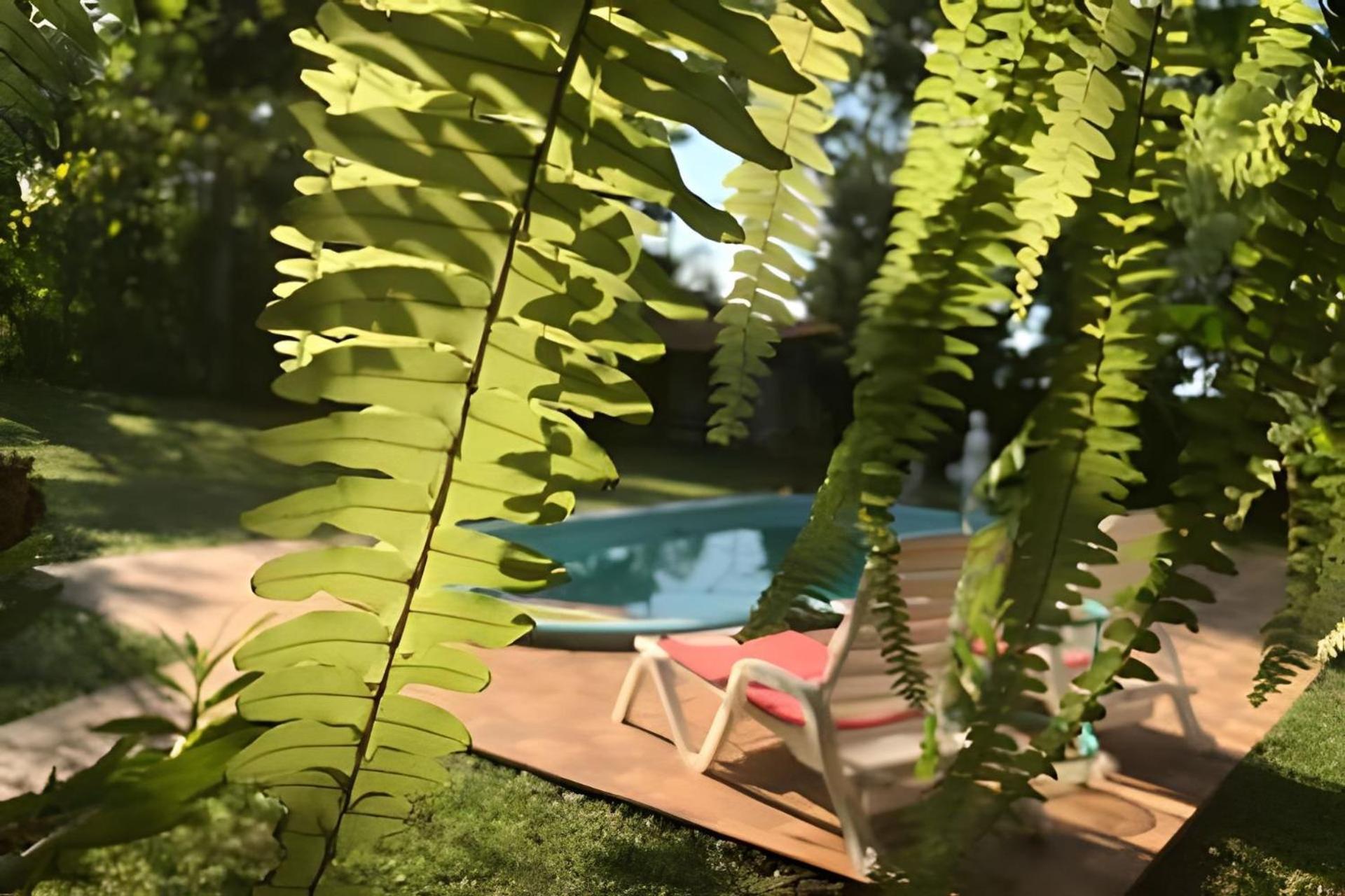 Cabanas Con Piscina En La Entrada De Obera Oberá Exterior foto